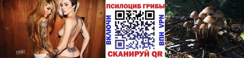 KRAKEN   Карабаш  Псилоцибиновые грибы прущие грибы 